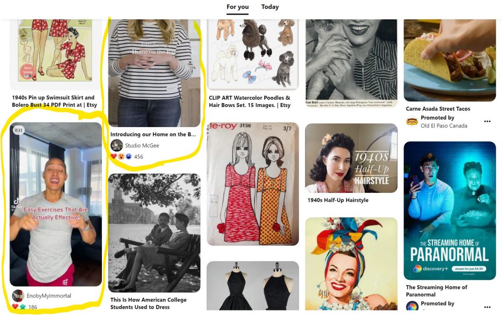 Example of what an Idea Pin looks like on the homepage of Pinterest page. 